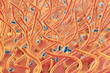 Bordetella pertussis bacteria in respiratory tract, 3D illustration. Bacteria which cause whooping cough. Illustration shows cilia of respiratory tract and bacteria