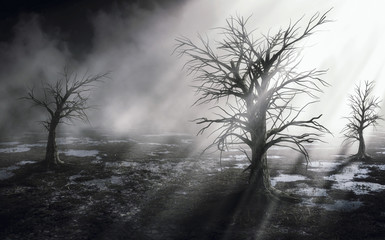 Wall Mural - Halloween spooky dark forest with mysterious .