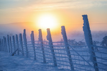 Snow Covered Fence In Sunlight, Finland