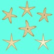 Starfish, a set of six options