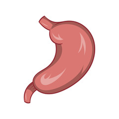 Wall Mural - Stomach icon, cartoon style