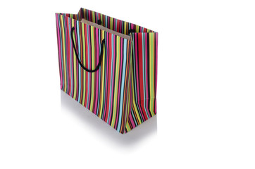 Shopping bag isolated on white background