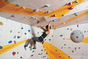 Wall Mural - Portrait of slim dexterous Asian woman climbing indoors