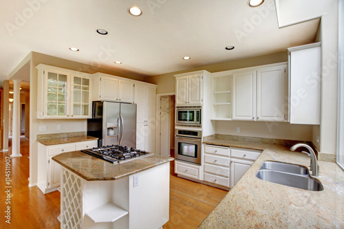 Clic American Kitchen Interior With White Cabinets And Built In Clic American Kitchen Interior With White Cabinets And Built In Stainless Steel Fridge
