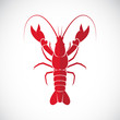 Vector of an lobster design on white background., Lobster.