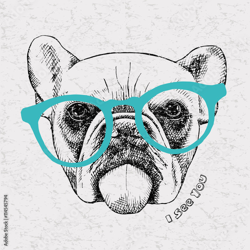 Plakat na zamówienie Rysunkowy portret buldoga w okularach