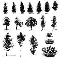 Set of hand drawn sketch trees on white background