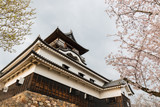 Inuyama castle historic building landmark in spring with cherry