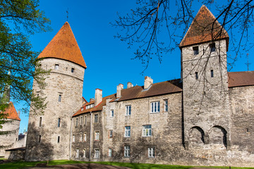 Canvas Print - Old walls. Tallinn, Estonia