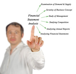 Wall Mural - Diagram of Fundamental Analysis