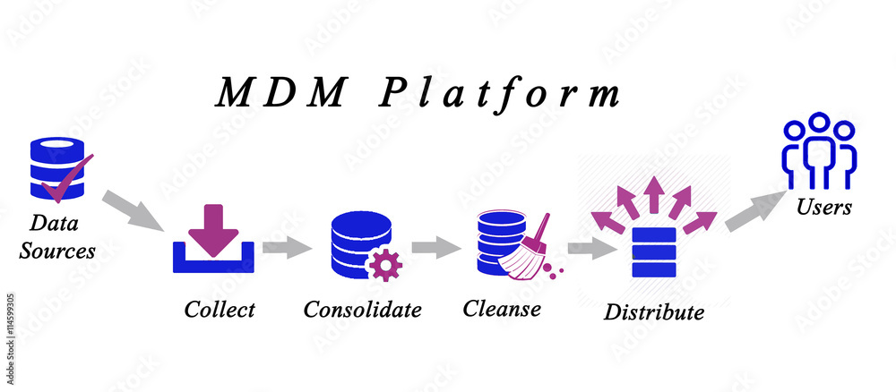 Diagram of Master Data Management Stock Illustration | Adobe Stock