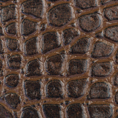 Poster - brown leather texture for pattern and background