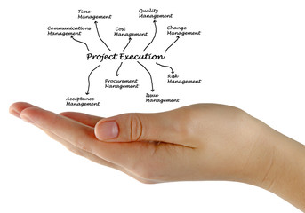 Canvas Print - diagram of project execution