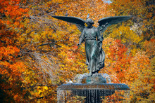 Central Park Autumn