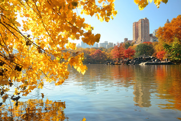 central park autumn