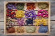 Various healing herbs in wooden box on table, herbal medicine
