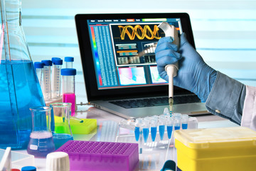 researcher hands working with pipette and tubes in the laboratory / scientist holding dropper and working with laptop in genetics lab