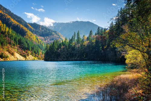 Foto-Kissen - Amazing view of the Arrow Bamboo Lake with azure water (von efired)