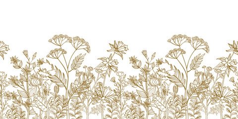 seamless vector floral border with black white hand drawn herbs and wild flowers. pattern endless wi
