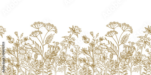 Foto Seamless vector floral border with black white hand drawn herbs and wild flowers