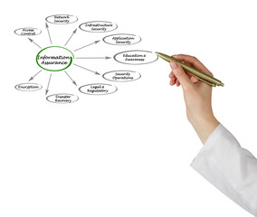 Wall Mural - diagram of Information assurance