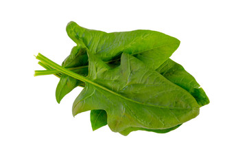 Wall Mural - Spinach leafs isolated on a white background.