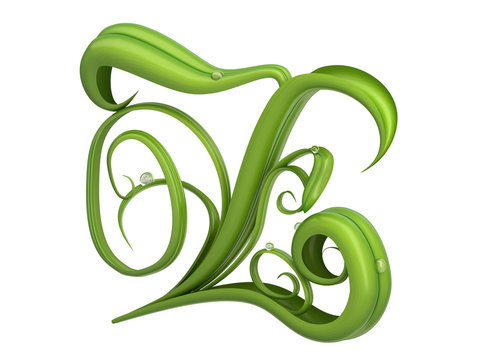 Green plants font with dew drops

