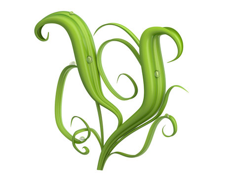 Green plants font with dew drops

