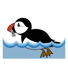Puffin Vector Illustration On White Background
