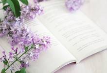 Blurry Bright Still Life With Open Book And Pink Flowers. Pink Color Flowers Over Opened Book. Selective Focus Used.