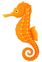 Vector Illustration Of An Orange And Yellow Seahorse.