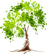 Green stylized vector tree on white background