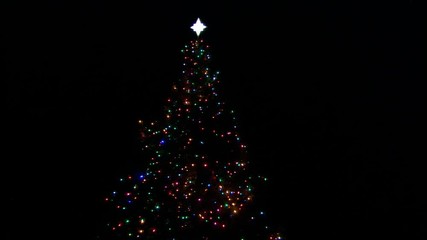 a lighted outdoor christmas tree at night