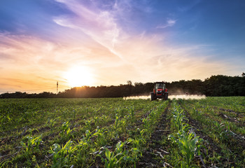 Fototapete - Red tractor.