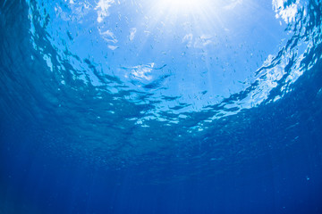 Sunlight into Underwater