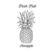 Hand Drawn Pineapple Icon