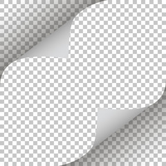 Wall Mural - Pages curl stylish illustration vector design