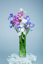 Bouquet Of Spring Purple Iris In A Vase