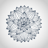 dahlia flower vector