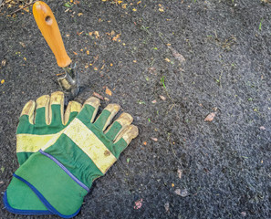 scoop with gloves gardening 2