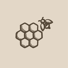 Sticker - Honeycomb and bee sketch icon.