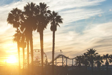 Santa Monica Pier With Palm Silhouettes