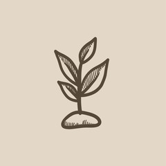 Canvas Print - Sprout sketch icon.