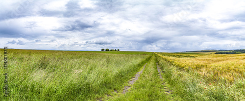 Fototapeta na szkło Szeroki krajobraz z kilkoma drzewami w Eifel