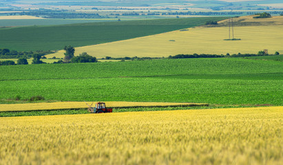 Fototapete - Farm machinery spraying insecticide to the green field, agricult