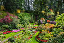  Sunken Garden - The Beautiful Part Of Park