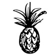 Pineapple sketch hand drawn isolated