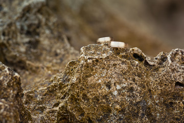 Two wedding rings on the cliff near ocean on the beach