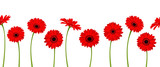 Vector horizontal seamless background with red gerbera flowers.