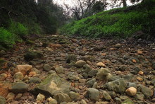 Sao Lourenco River, Stones On The Dried River Bed. Photograph Taken In Almancil, Algarve, Portugal